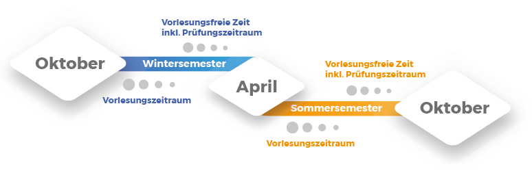 grafischer Ablauf des Studienjahres